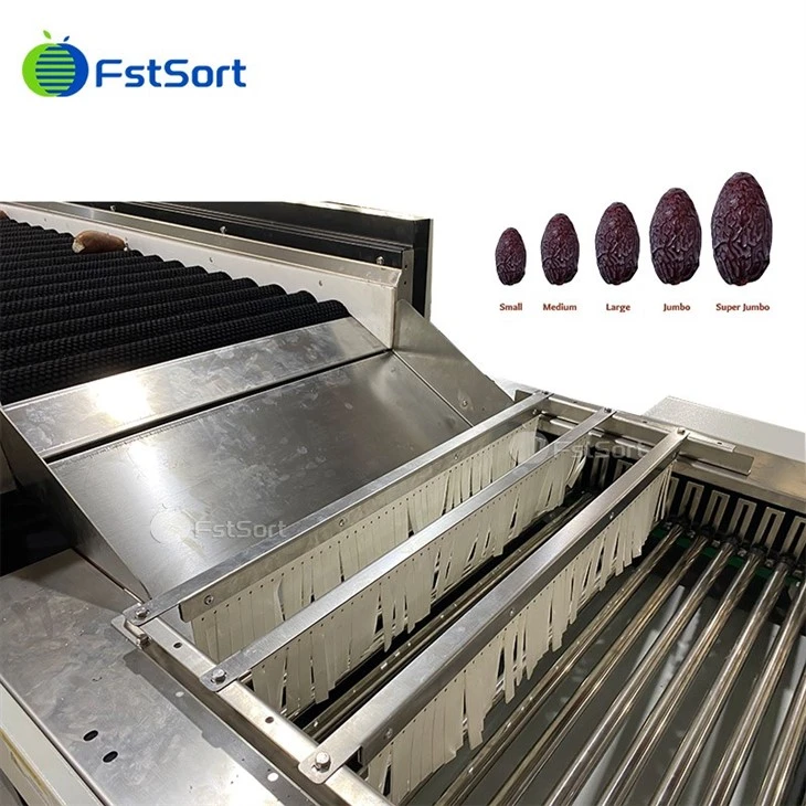 Dates Washing Drying Grading Machine high quality